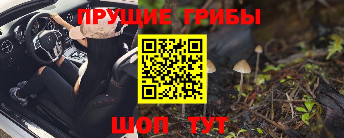 Торжок  Галлюциногенные грибы MAGIC MUSHROOMS  Вход с VPN 